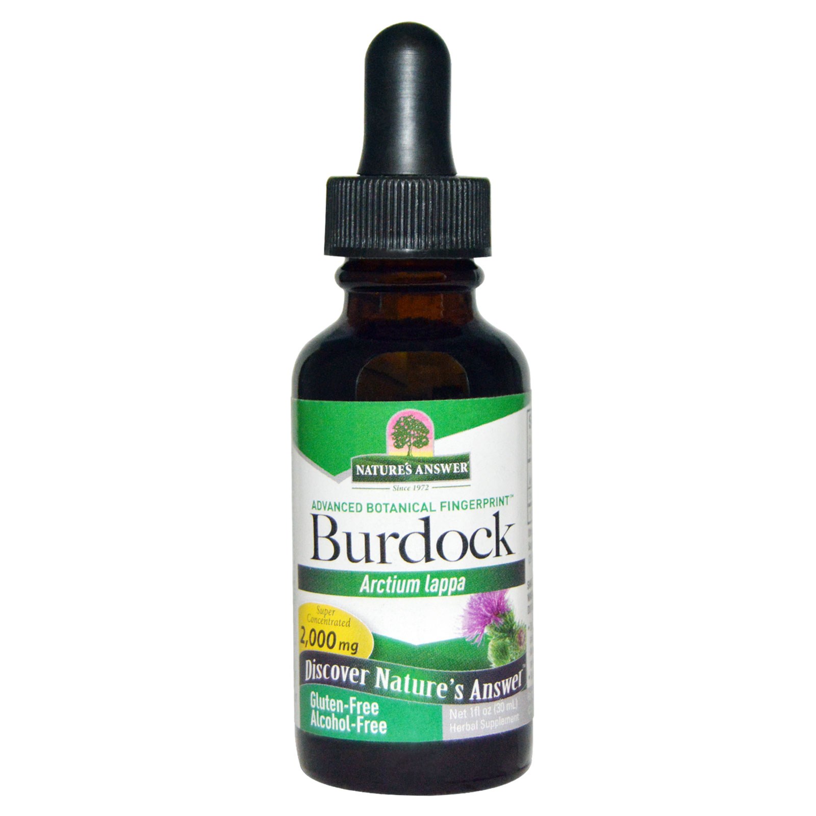 Burdock, Alcohol-Free, 2000 mg (30 ml) - Nature's Answer