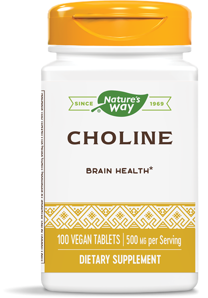 Choline 500 mg (100 Tablets) - Nature&apos;s Way